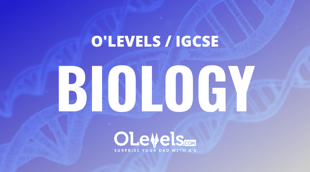 Biology (O Level)